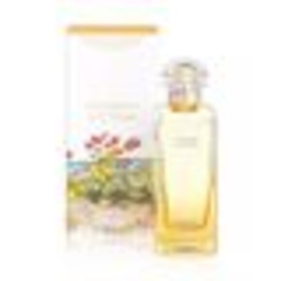 Hermes Un Jardin A Cythere Eau De Toilette 3.3oz - Picture 3 of 3